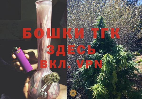 прущие грибы Балахна