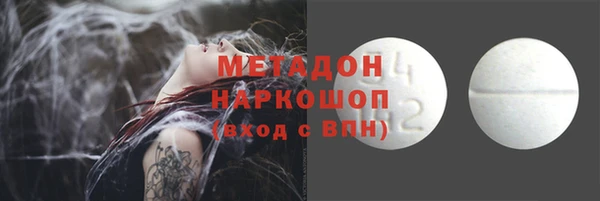 прущие грибы Балахна