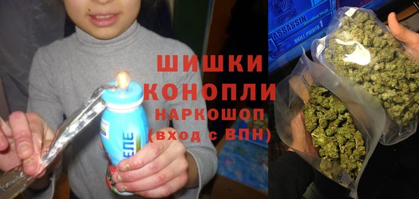 прущие грибы Балахна