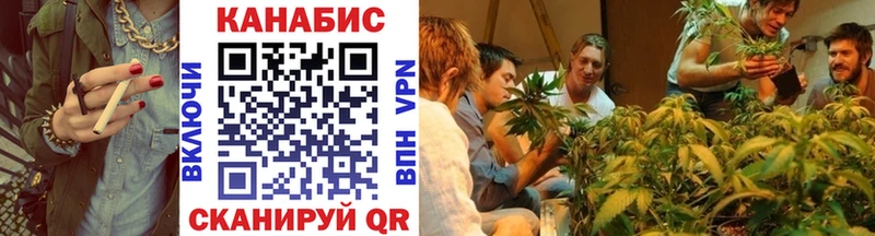 Бошки Шишки индика  продажа наркотиков  shop как зайти  Красный Холм 